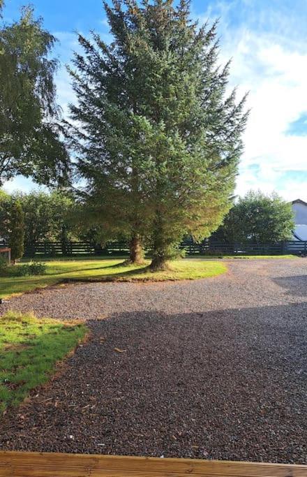 Little Slioch Cottage- A Break From City Life Avoch 외부 사진